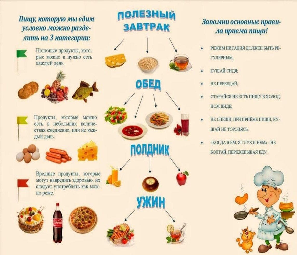 Основные Правила Правильного Питания