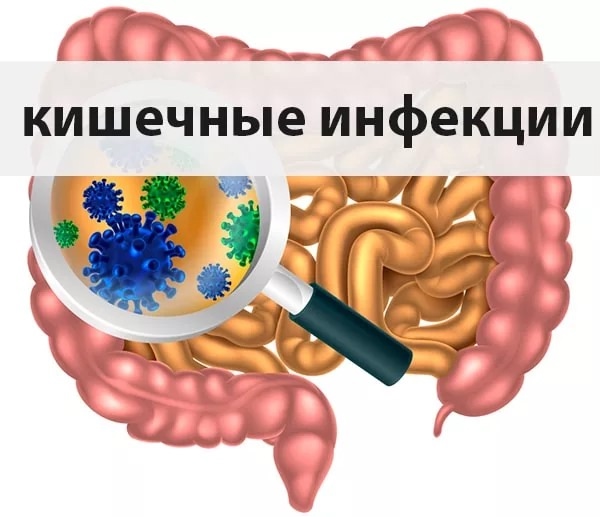 558