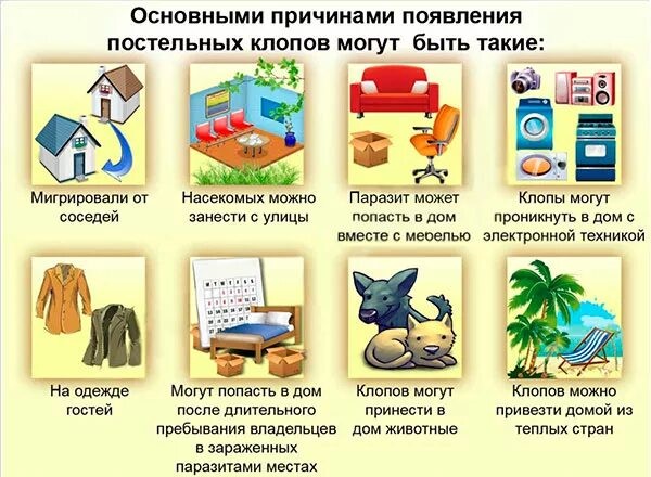 клоп 3